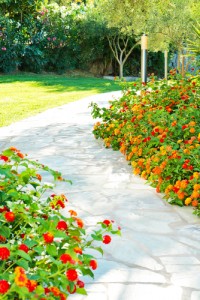 Decorative cement in garden