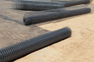 Geogrid